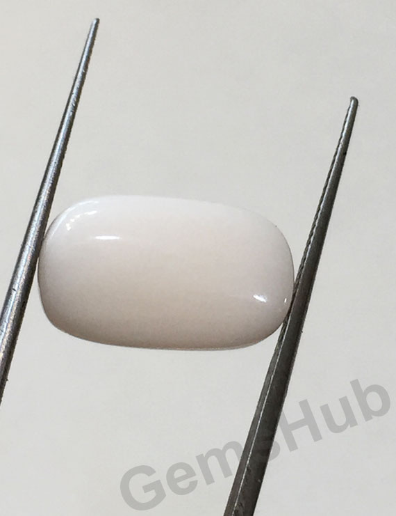 7.29 ct Natural Certified  White Coral/सफ़ेद मूंगा